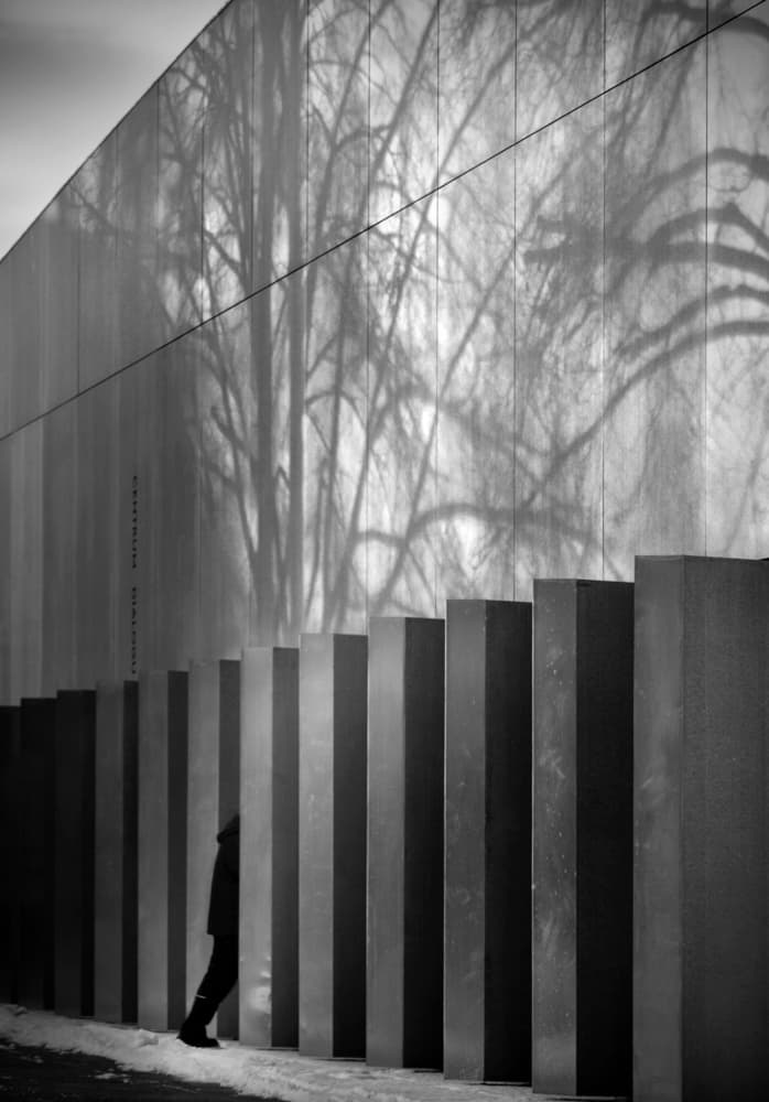 Solitary Shadows Walk by Anna Niemiec — canvas wall art