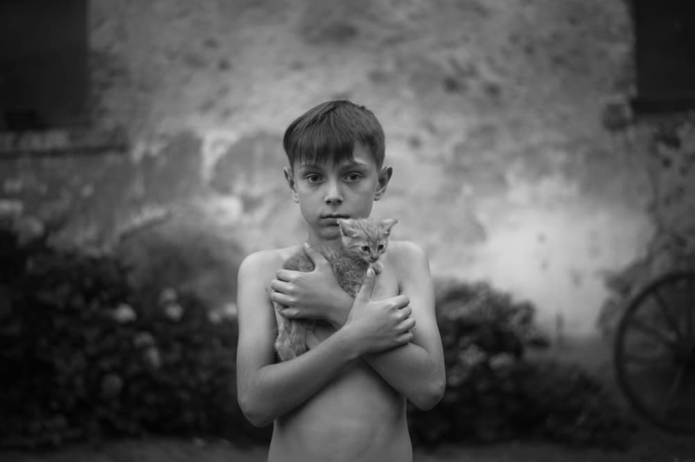 Young Boy and Kitten by Małgorzata Masarz — canvas wall art