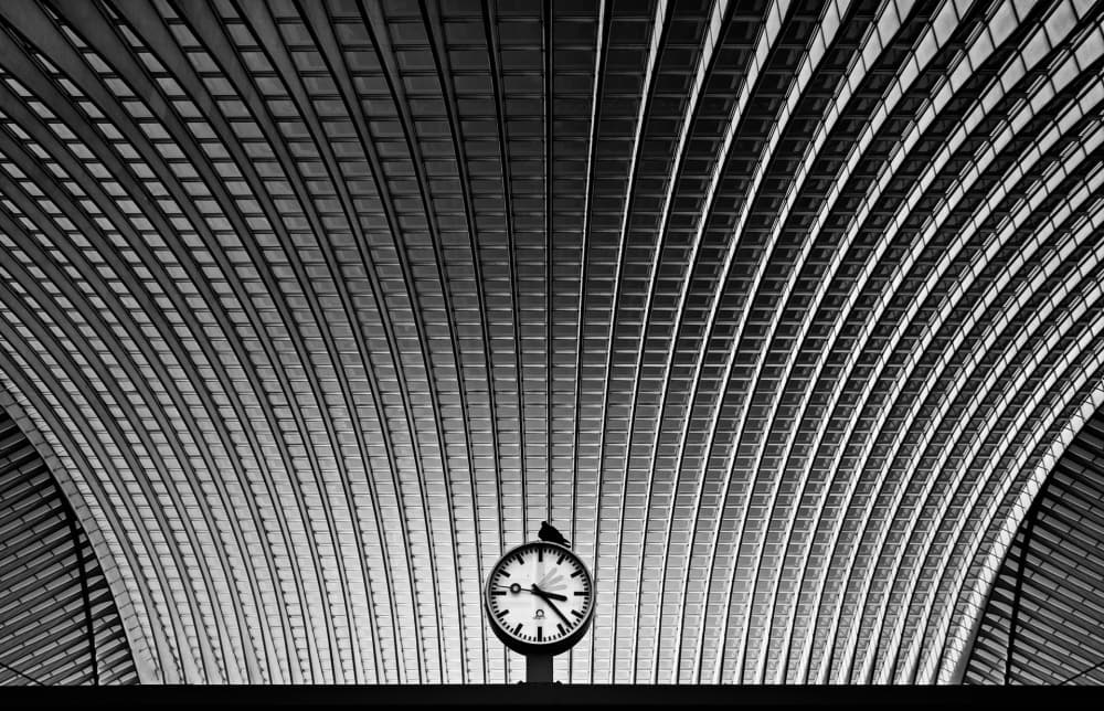 Station Clock Bird by Rainer Inderst — canvas wall art