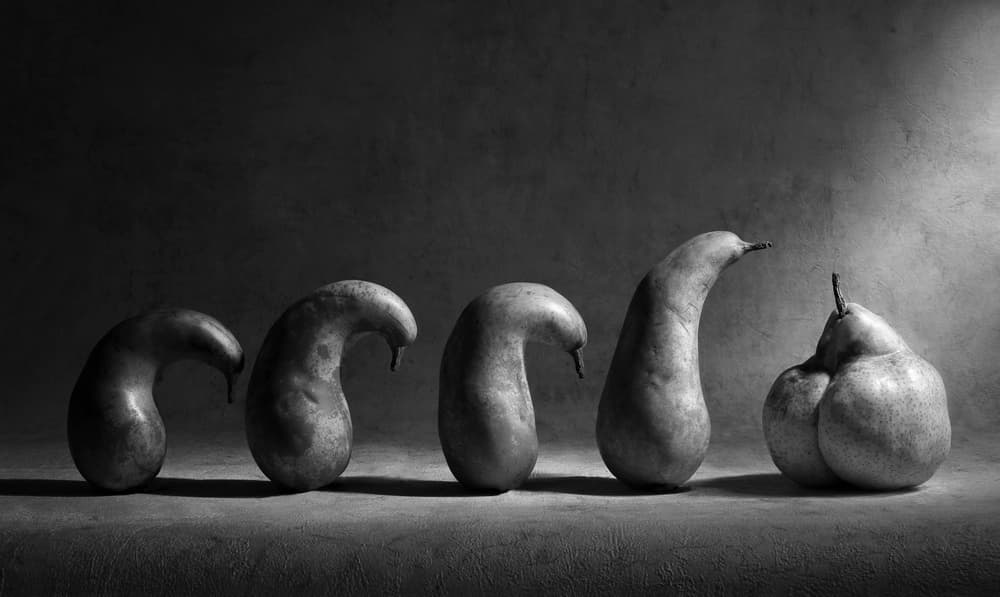 Evolving Pear Shapes by Victoria Glinka — canvas wall art
