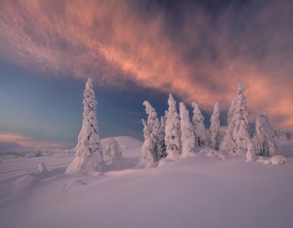 Pink Sky Winter Wonderland by Valeriy Shcherbina — canvas wall art