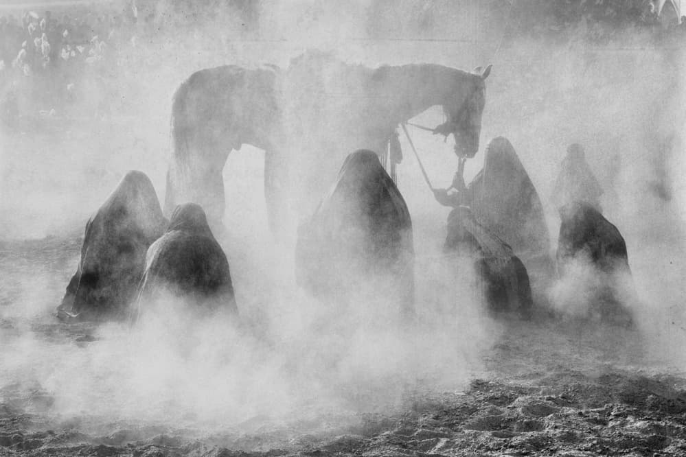 Mysterious Horse Ritual by Ali Asghar Alimoradi — canvas wall art