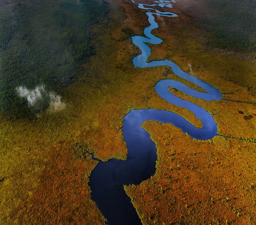 Winding River Aerial View by Liyun Yu — canvas wall art