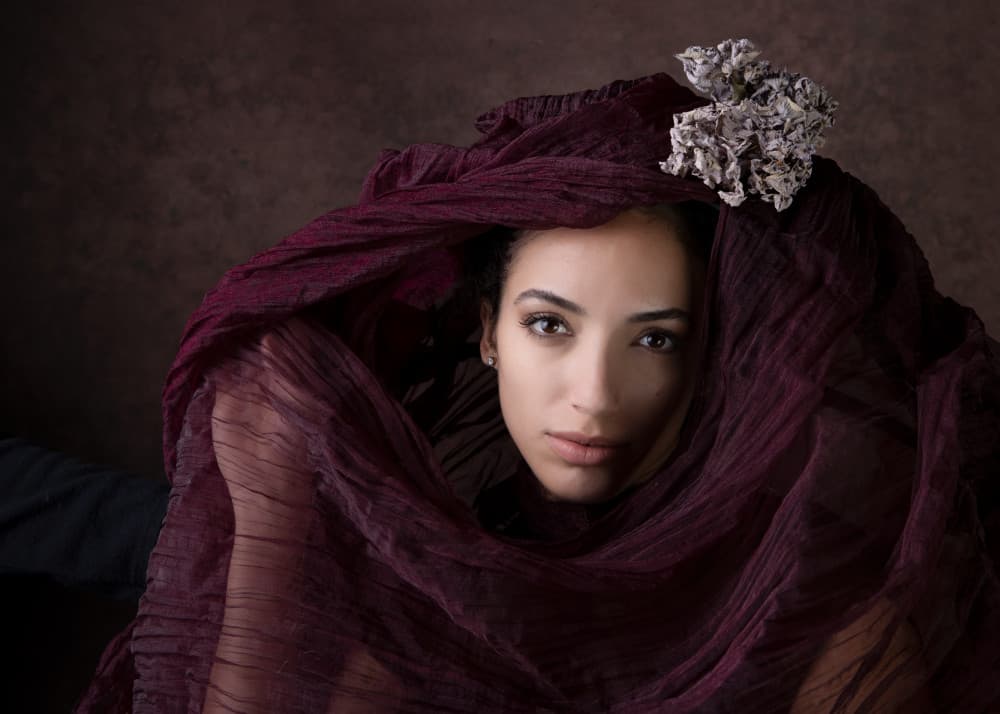 Mysterious Woman in Maroon by Joan Gil Raga — canvas wall art