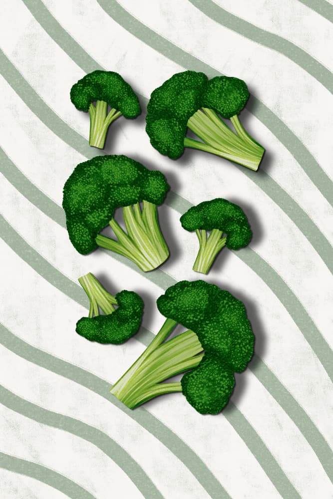 Fresh Green Broccoli by EMELIEmaria — canvas wall art