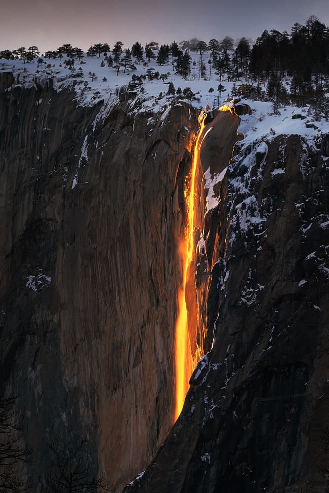 Winter Firefall Glow by Aidong Ning — canvas wall art