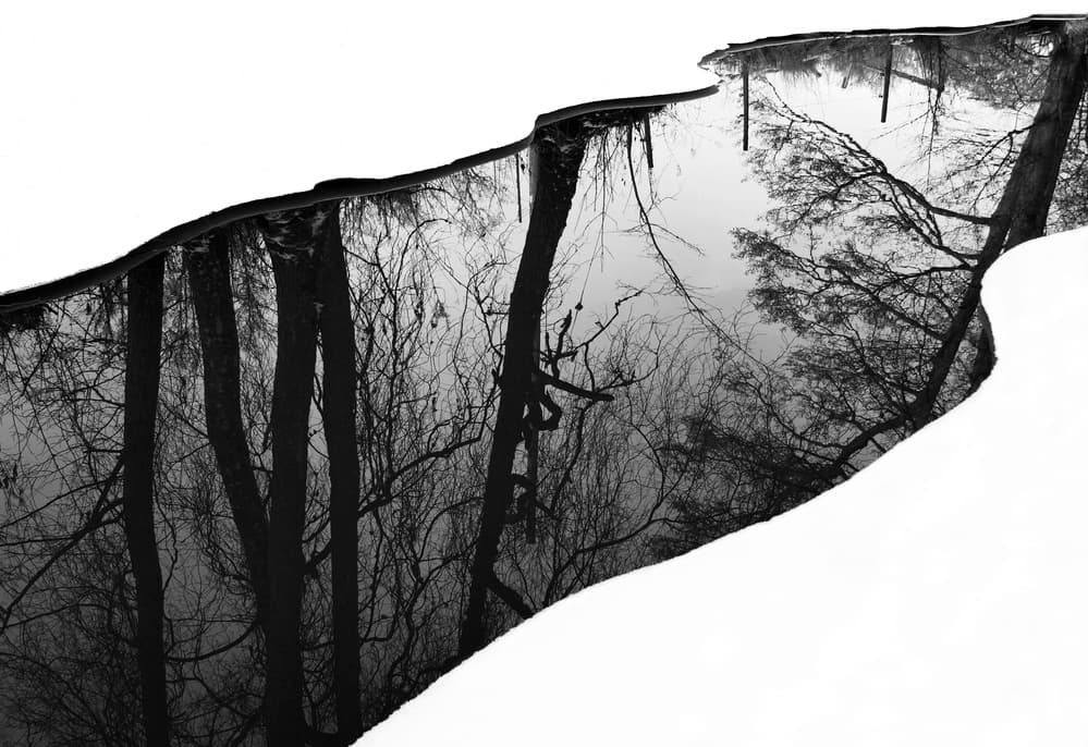 Winter Tree Reflection by Leif Westling — canvas wall art