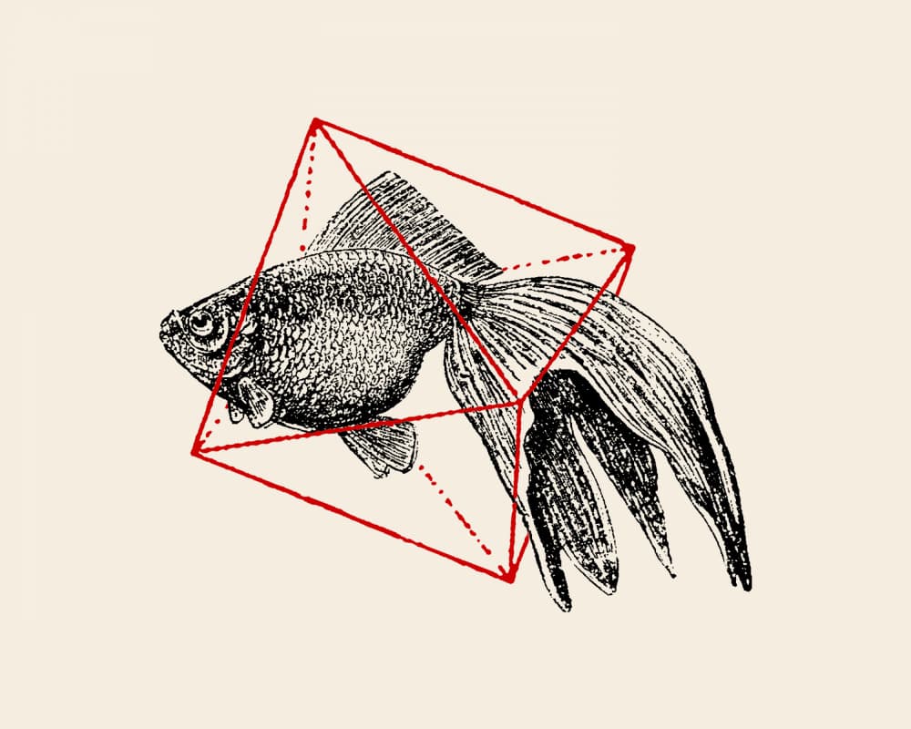Geometric Goldfish Sketch by Florent Bodart — canvas wall art