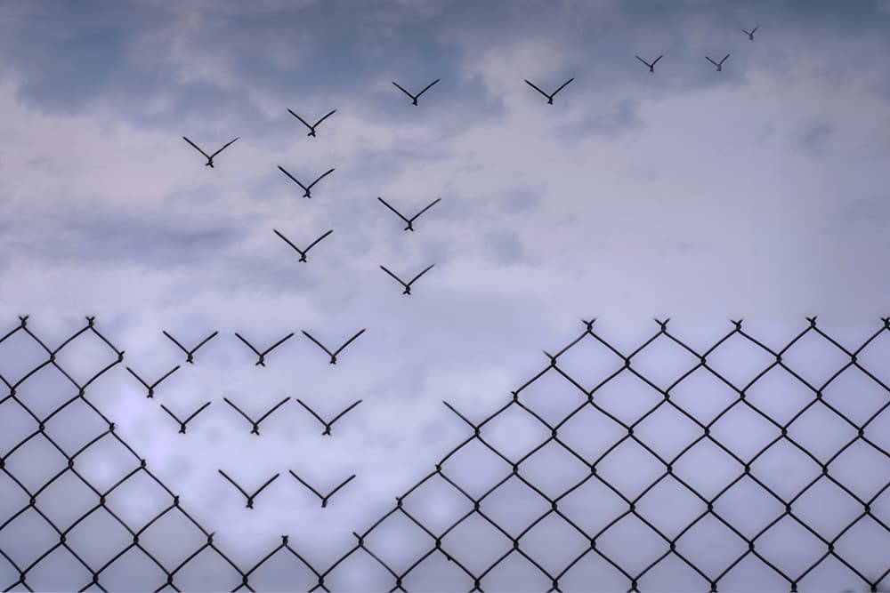 Flight to Freedom by Bjorn Emanuelson — canvas wall art