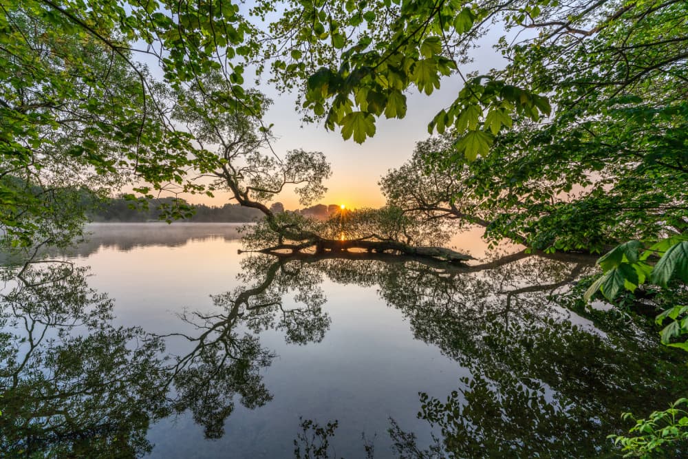 Misty Morning Lake by Keller — canvas wall art