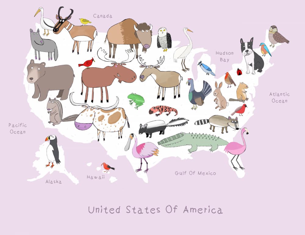 Cute USA Animal Map by Carla Daly — canvas wall art
