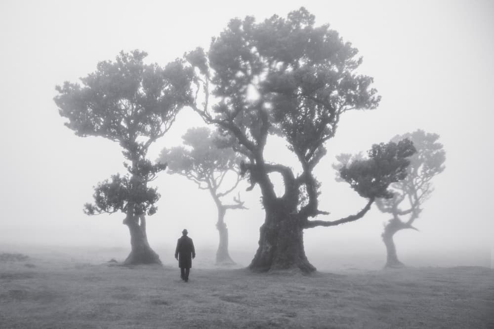 Man in Foggy Forest by Roelof de Hoog — canvas wall art