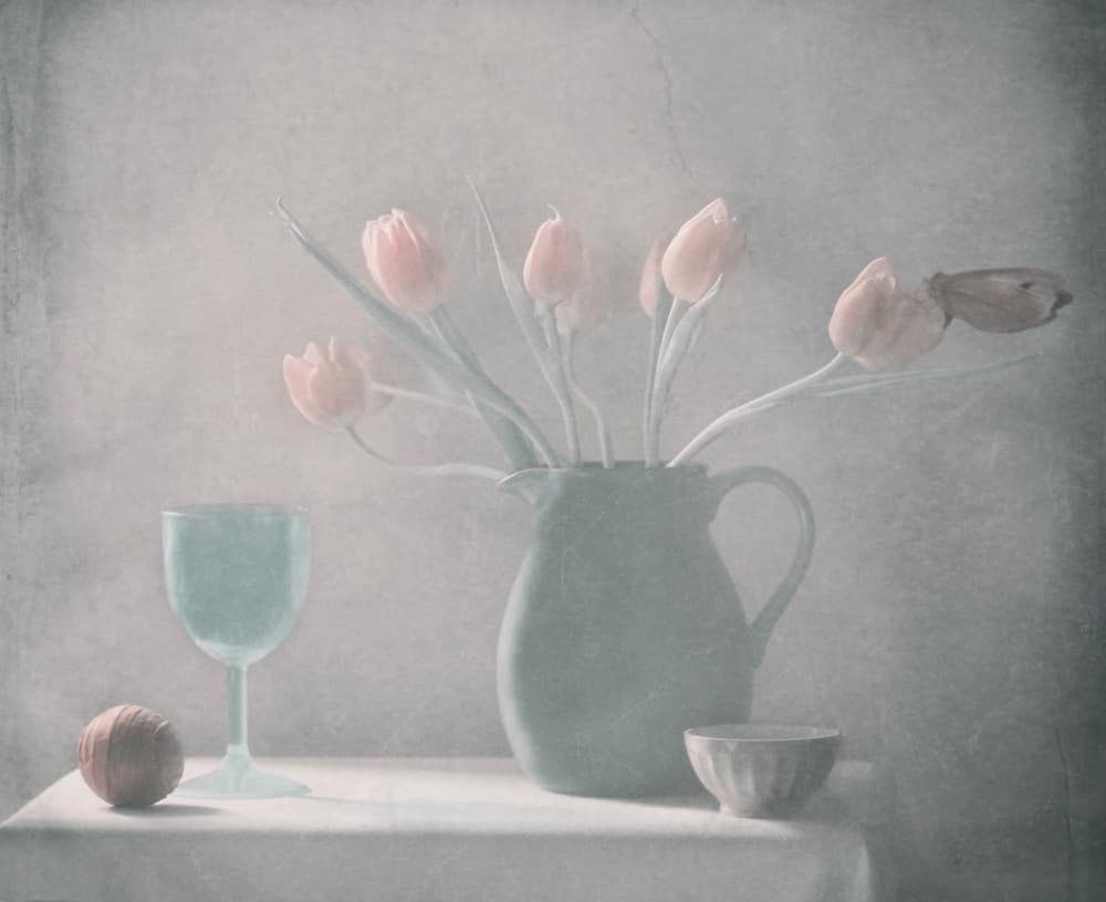 Pastel Tulips Still Life by Delphine Devos — canvas wall art