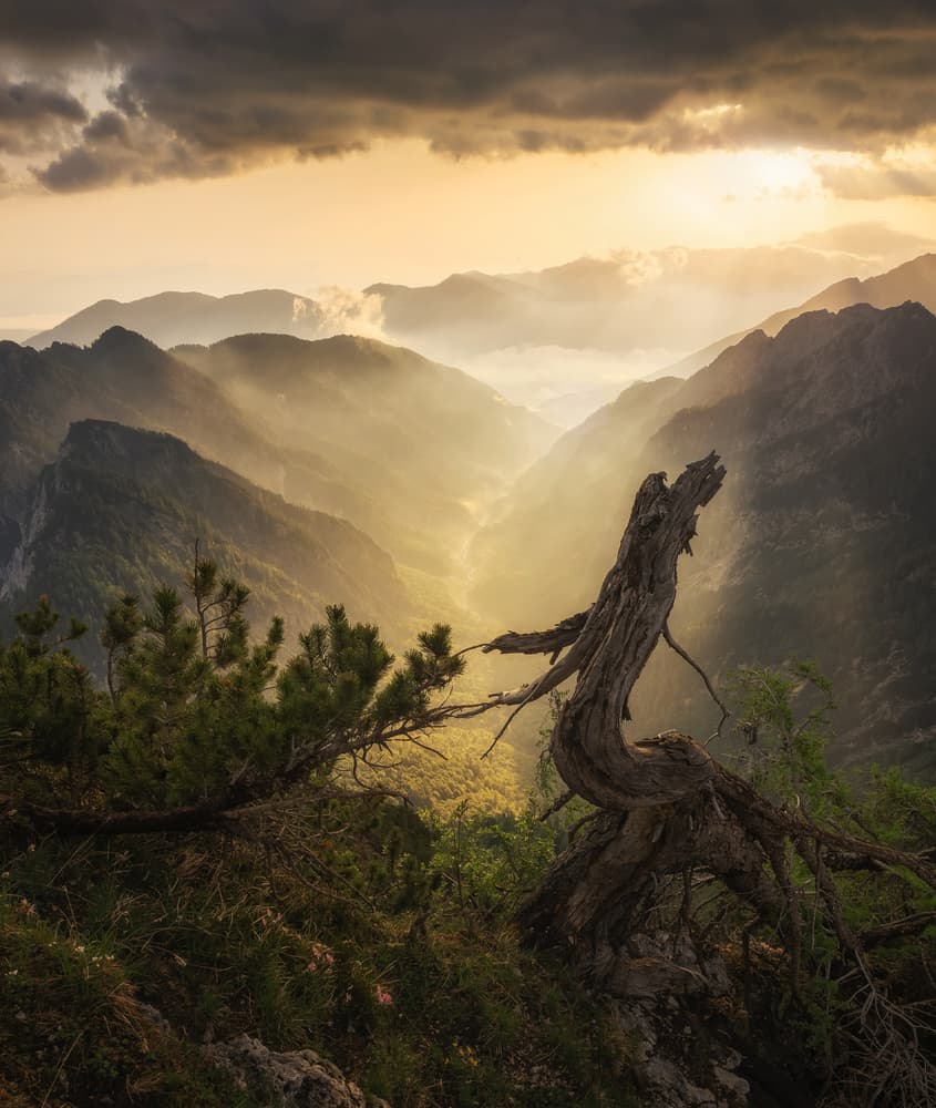Golden Valley Mountain Vista by Ales Krivec — canvas wall art