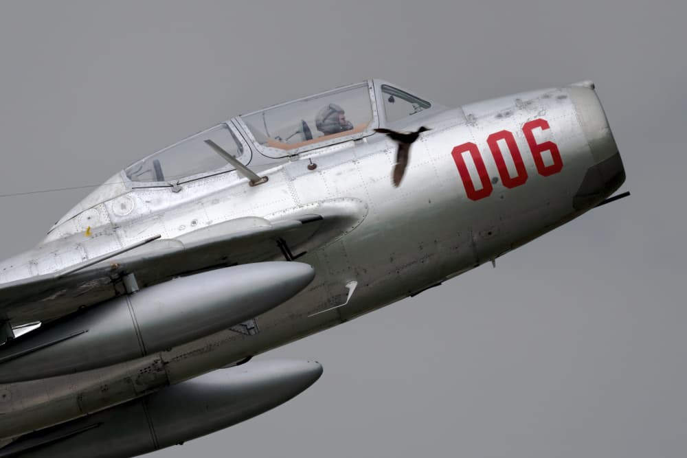 Fighter Jet and Bird by Piotr Wrobel — canvas wall art