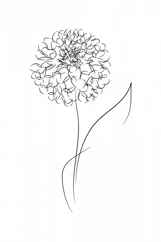Delicate Line Bloom by Martina — canvas wall art