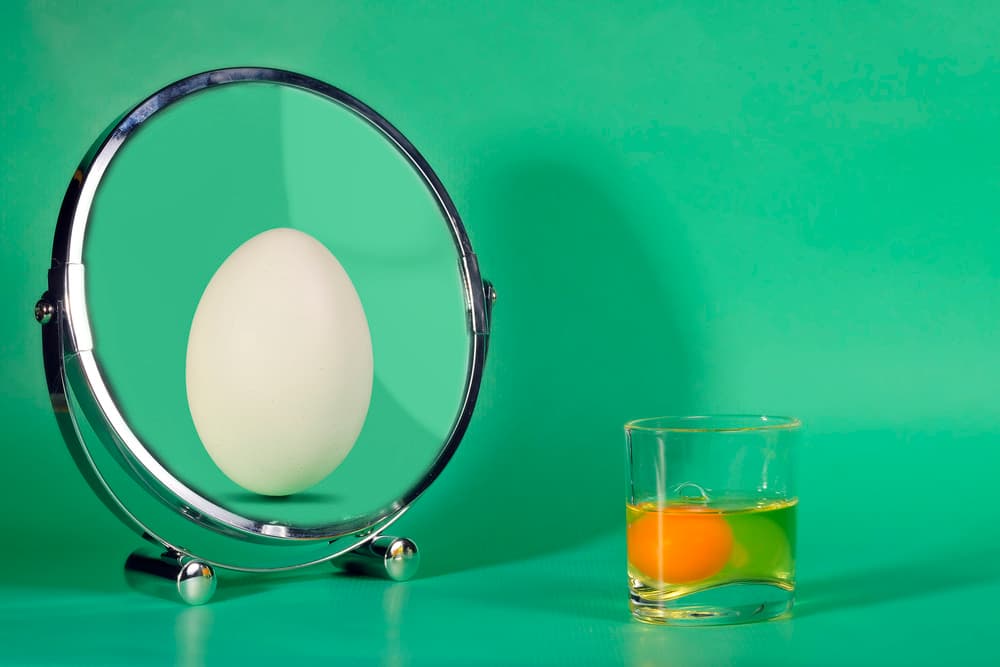 Egg Forms Green by Christine von Diepenbroek — canvas wall art