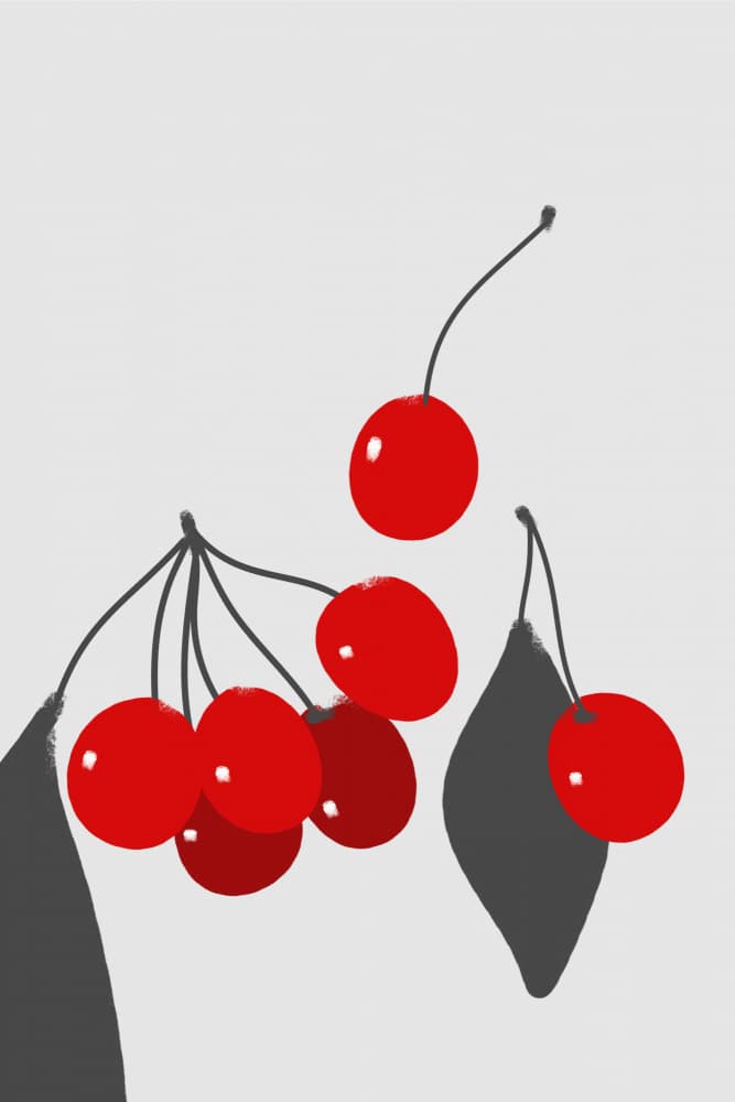 Bright Red Cherries by Rosana Laiz Blursbyai — canvas wall art