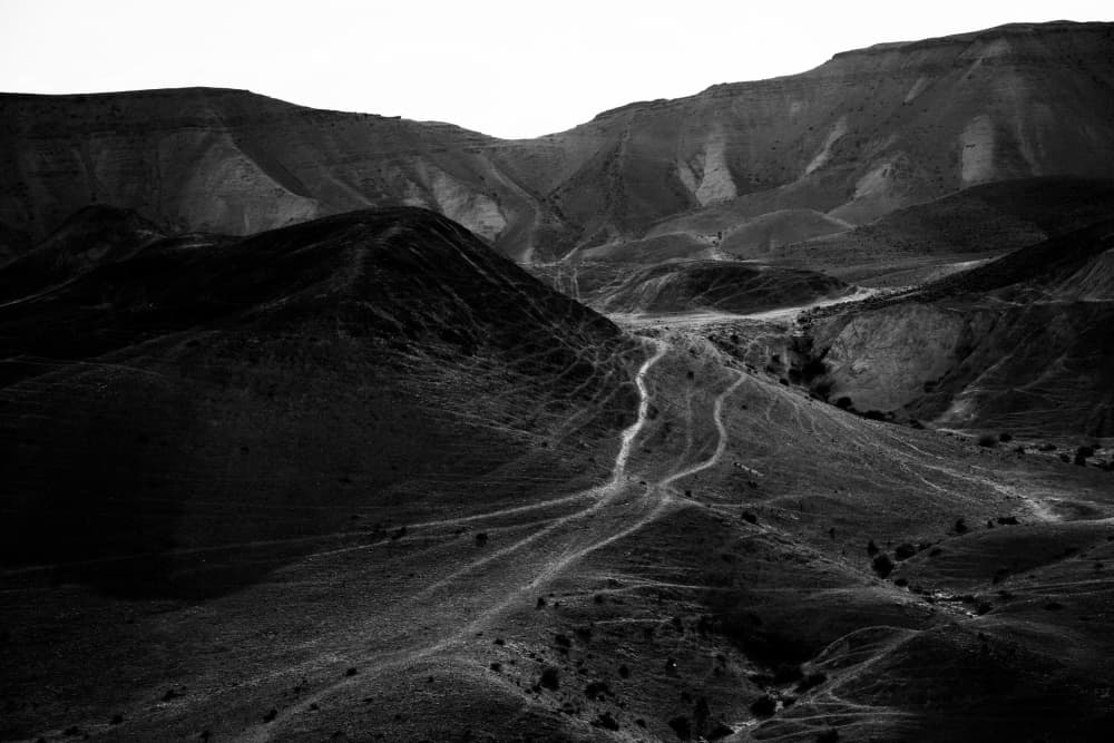 Winding Desert Trails by Tal Paz-Fridman — canvas wall art