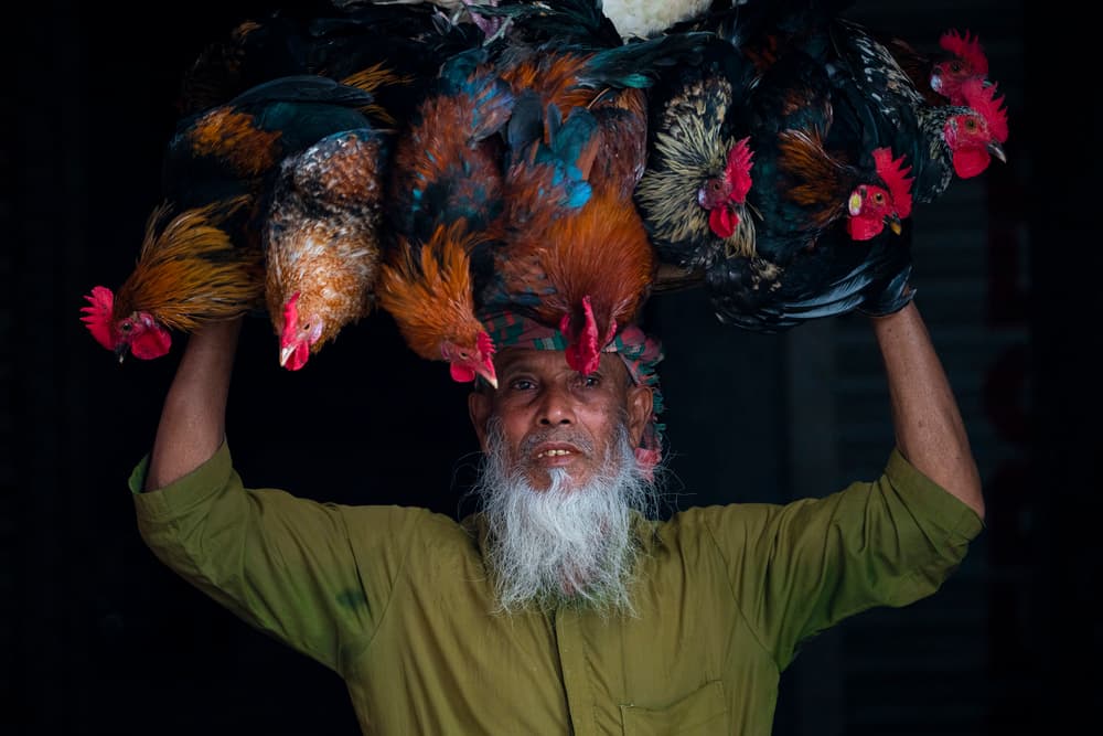 Man Carrying Colorful Chickens by Azim Khan Ronnie — canvas wall art