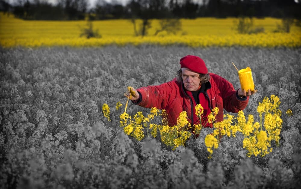 Artist Colors a Yellow Field by Alan Mahon — canvas wall art