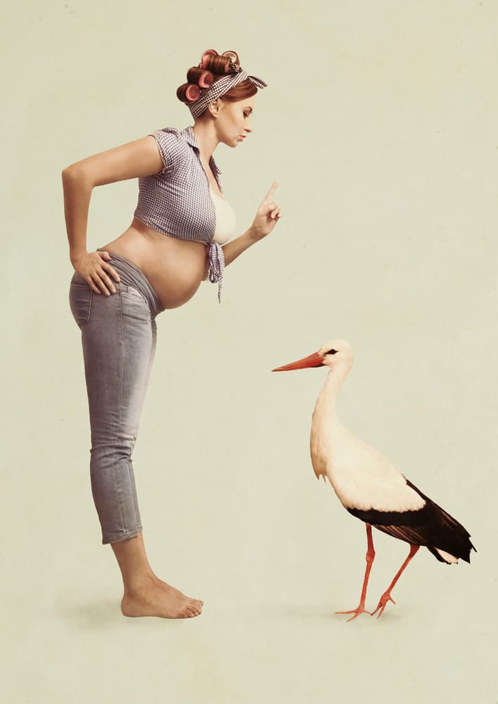 Expecting Mom Scolds Stork by Bart Peeters — canvas wall art