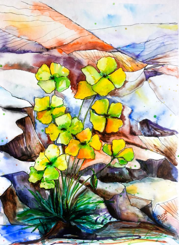 Vibrant Mountain Flowers by Anda Bieza — canvas wall art