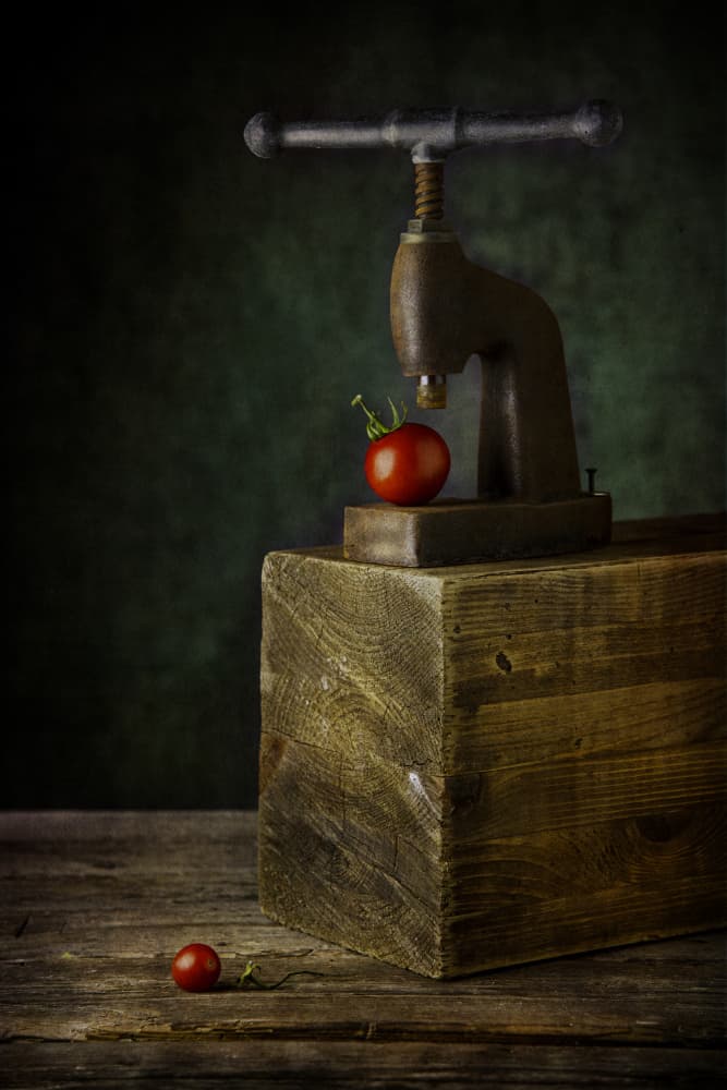 Vintage Tomato Press Still Life by Felice Angelino — canvas wall art