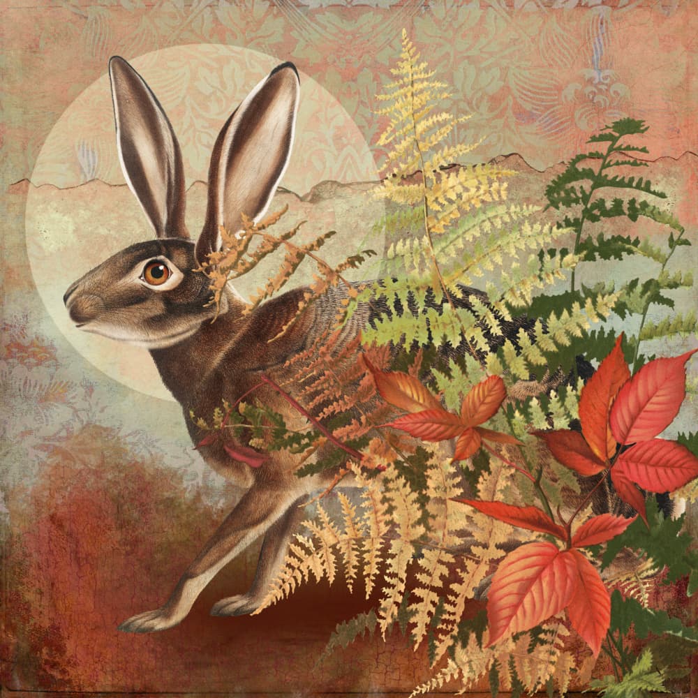 Autumn Hare in Ferns by Marja van den Hurk — canvas wall art