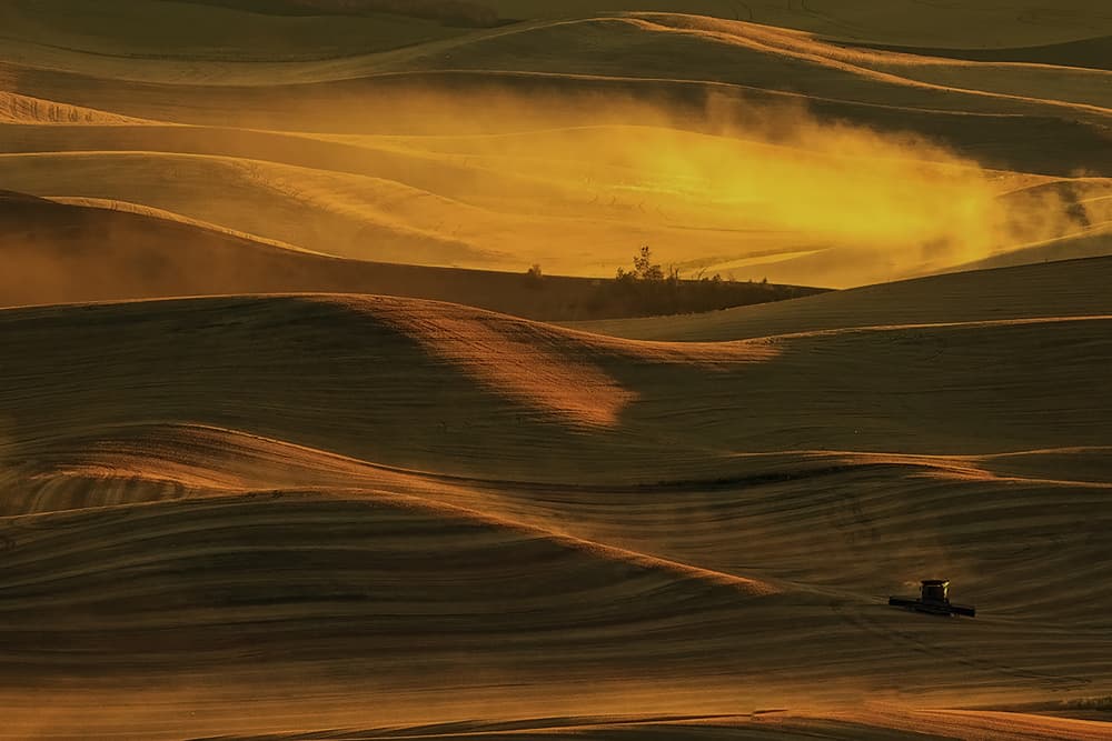 Golden Hour Rolling Hills by Mei Shi — canvas wall art