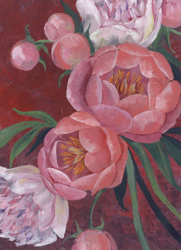 Elegant Pink Peonies by Rosana Laiz Blursbyai — canvas wall art