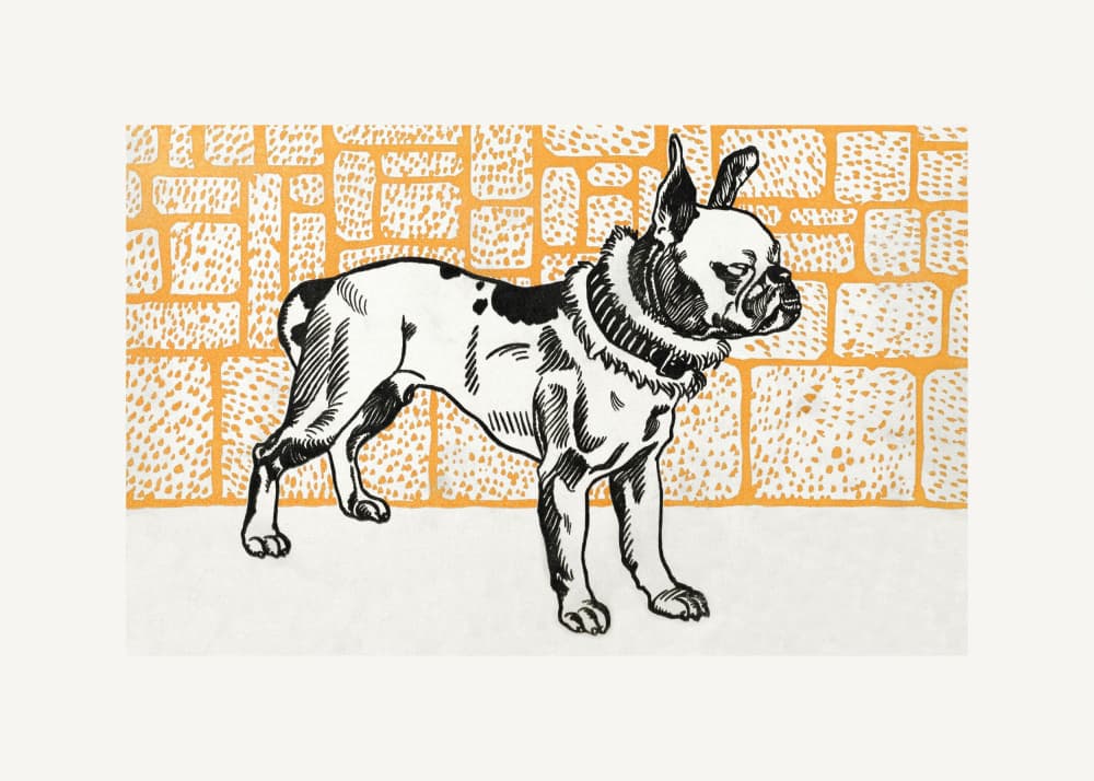 Pitbull Terrier by Moriz Jung — canvas wall art