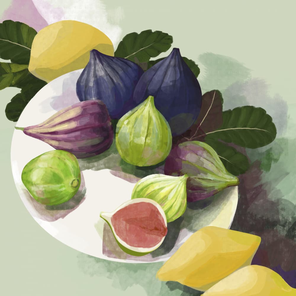 Ripe Figs and Lemons by Rosana Laiz Blursbyai — canvas wall art