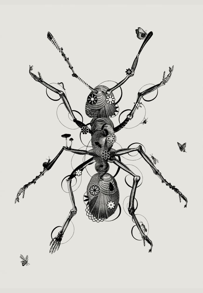 Surreal Clockwork Ant by Jaco Putker — canvas wall art