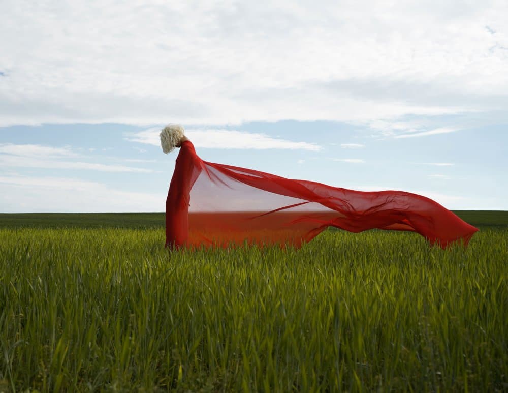 Flowing Red In Green Field by Larisa Usmanova — canvas wall art