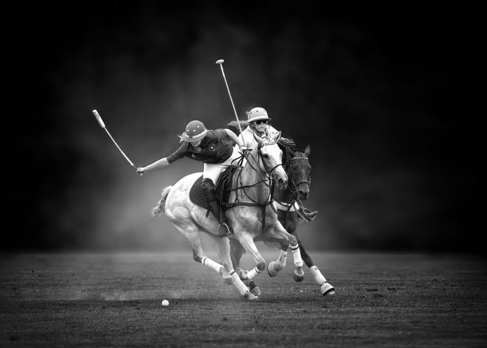 Polo Game Action by Rob Li — canvas wall art