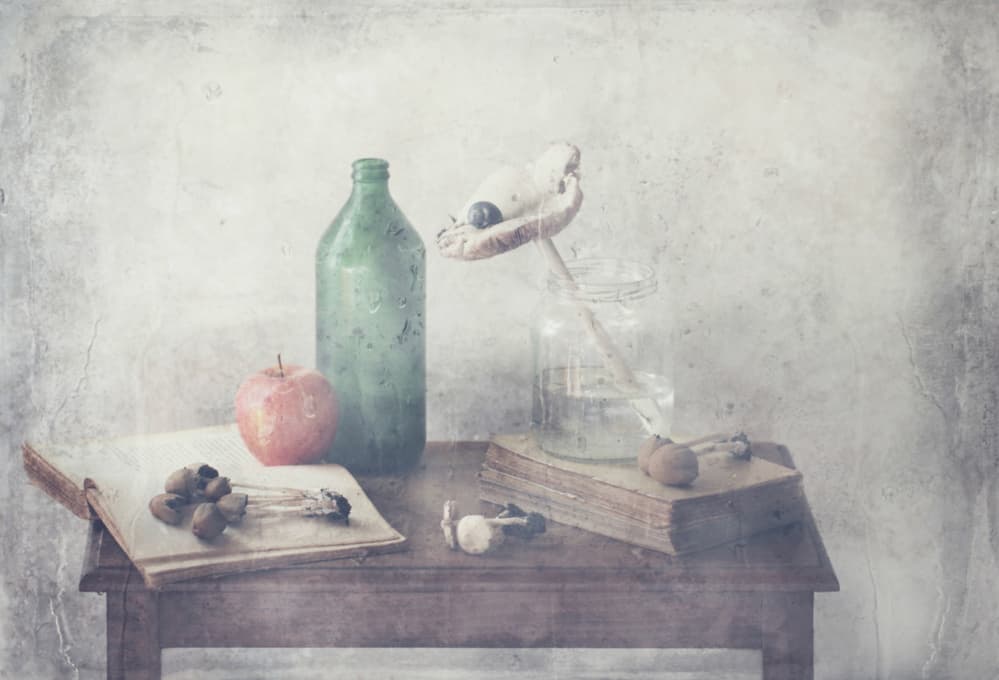 Vintage Still Life Arrangement by Delphine Devos — canvas wall art