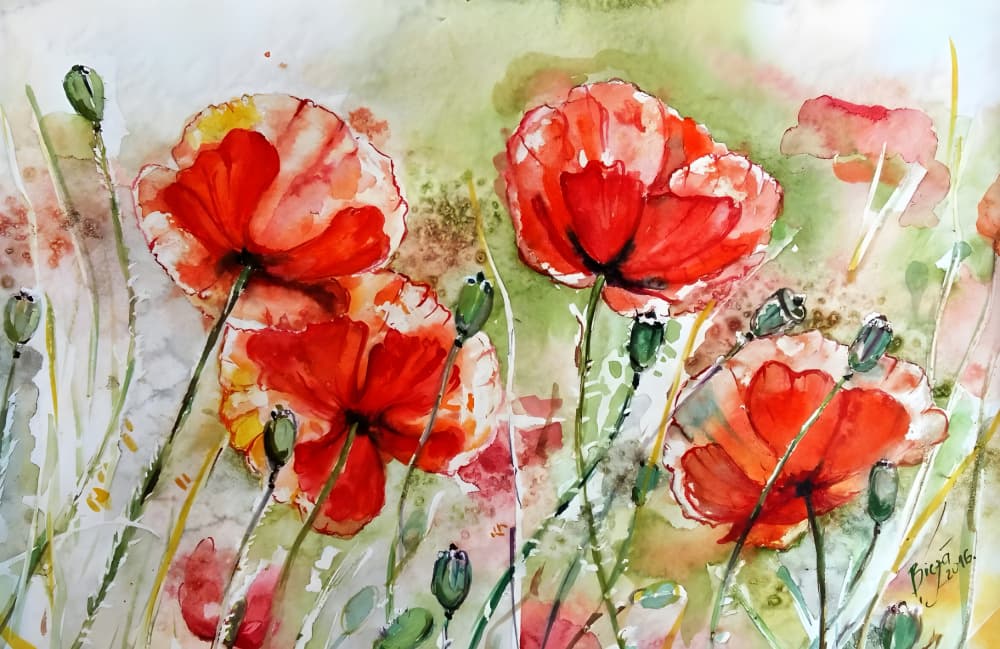 Vibrant Watercolor Poppies by Anda Bieza — canvas wall art