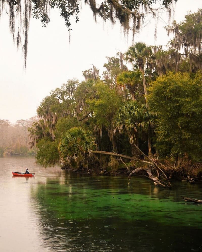 Peaceful Green River Paddle by Del Mundo Imagery — canvas wall art