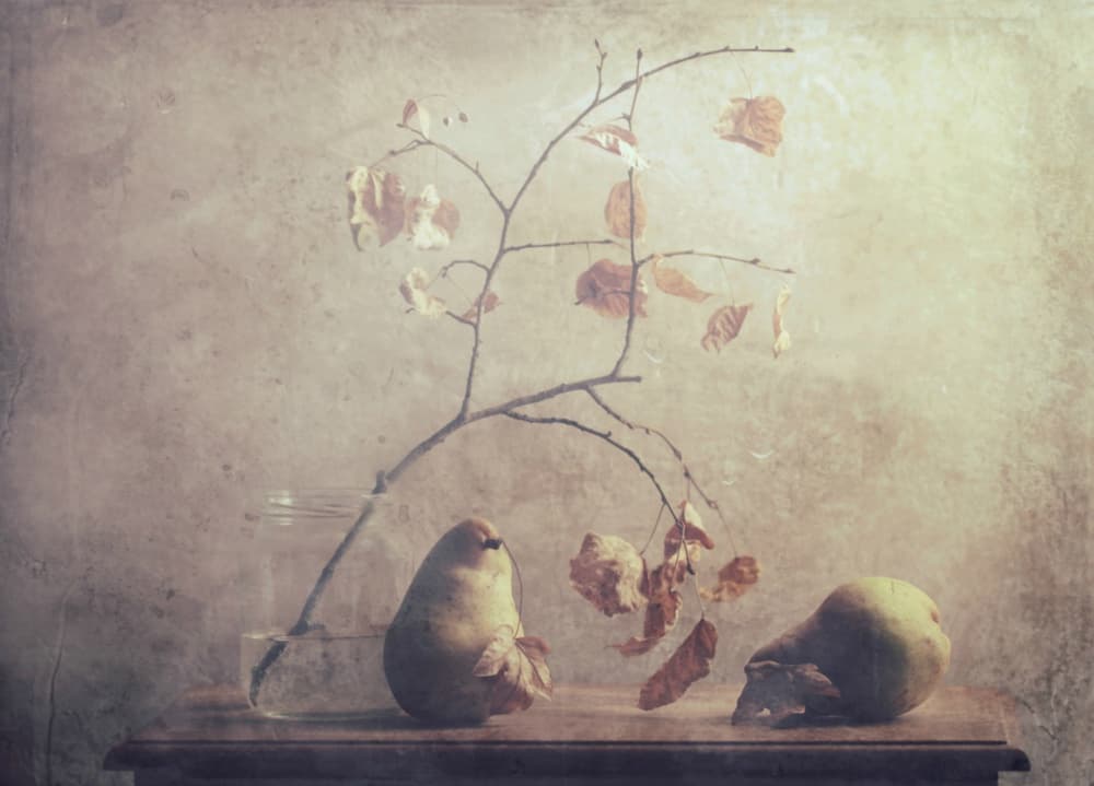 Autumn Pear Still Life by Delphine Devos — canvas wall art