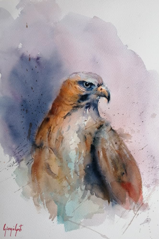 Majestic Watercolor Hawk by Giorgio Gosti — canvas wall art