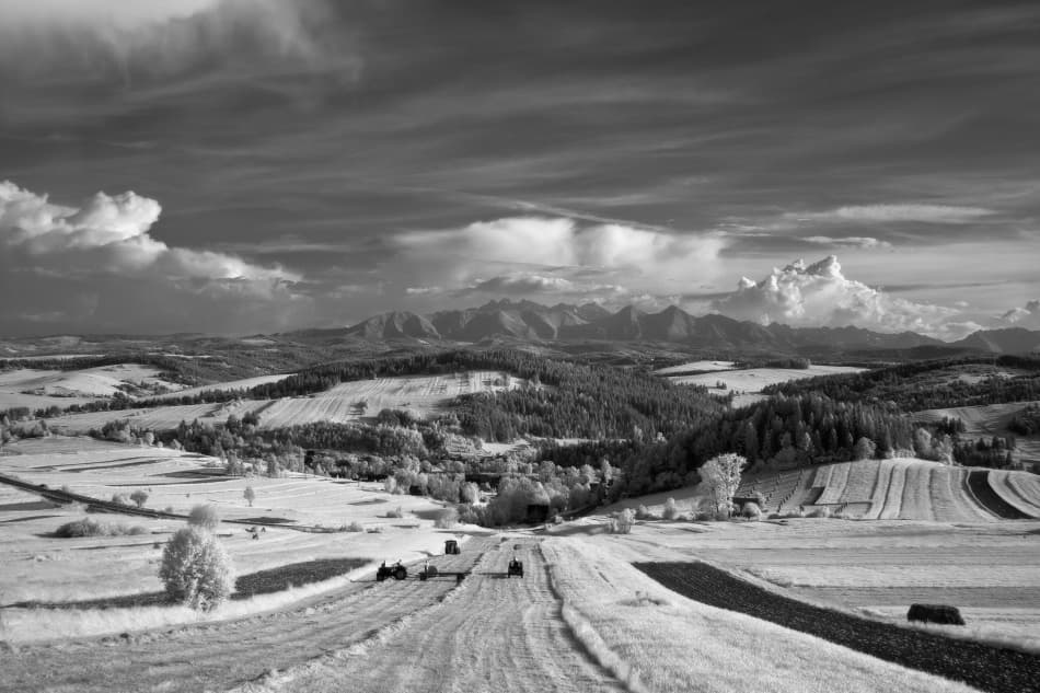 Mountain Field Harvest by Przemyslaw Kruk — canvas wall art