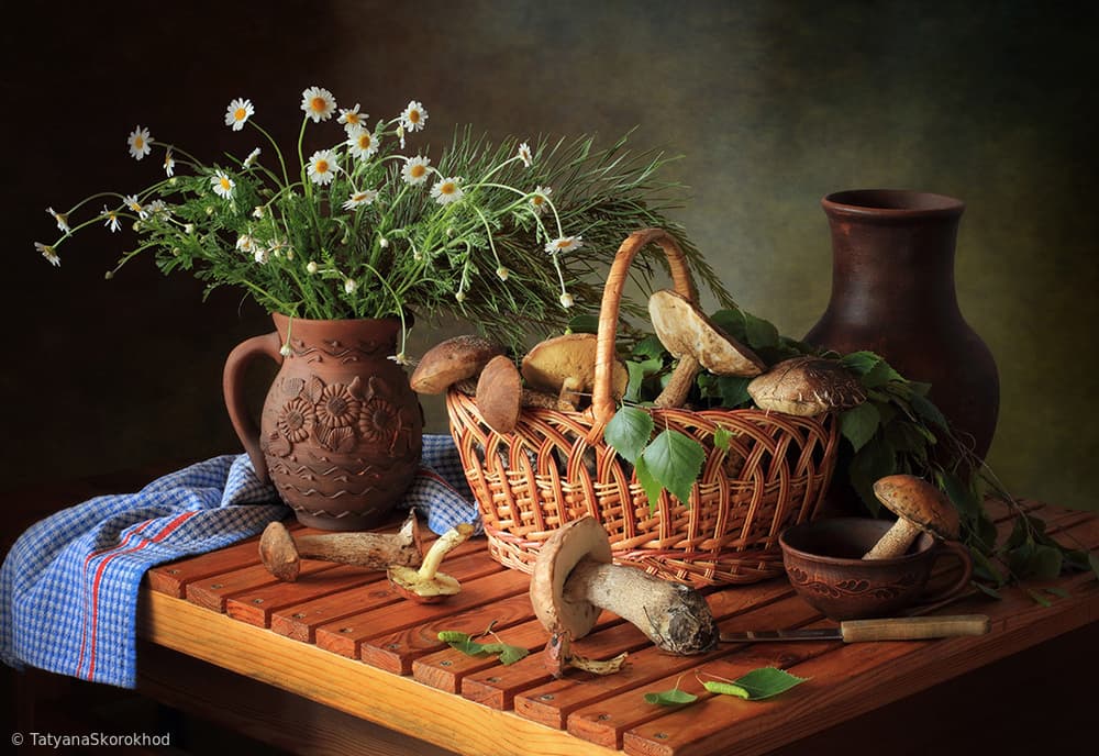 Autumn Mushroom Still Life by Tatyana Skorokhod — canvas wall art