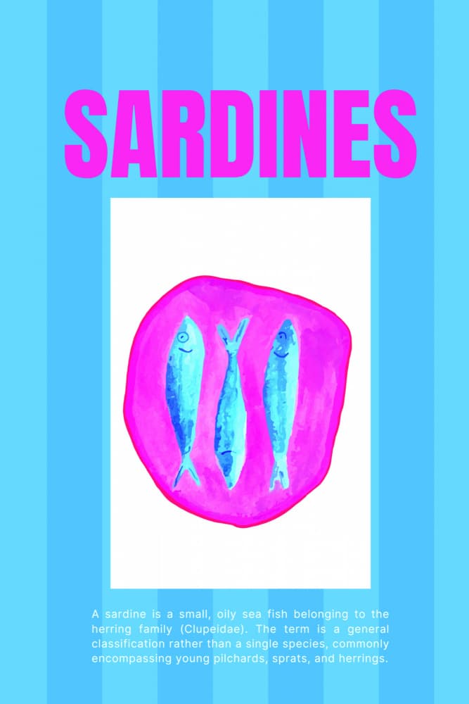 Blue Pink Sardines by Elizabeth C — canvas wall art