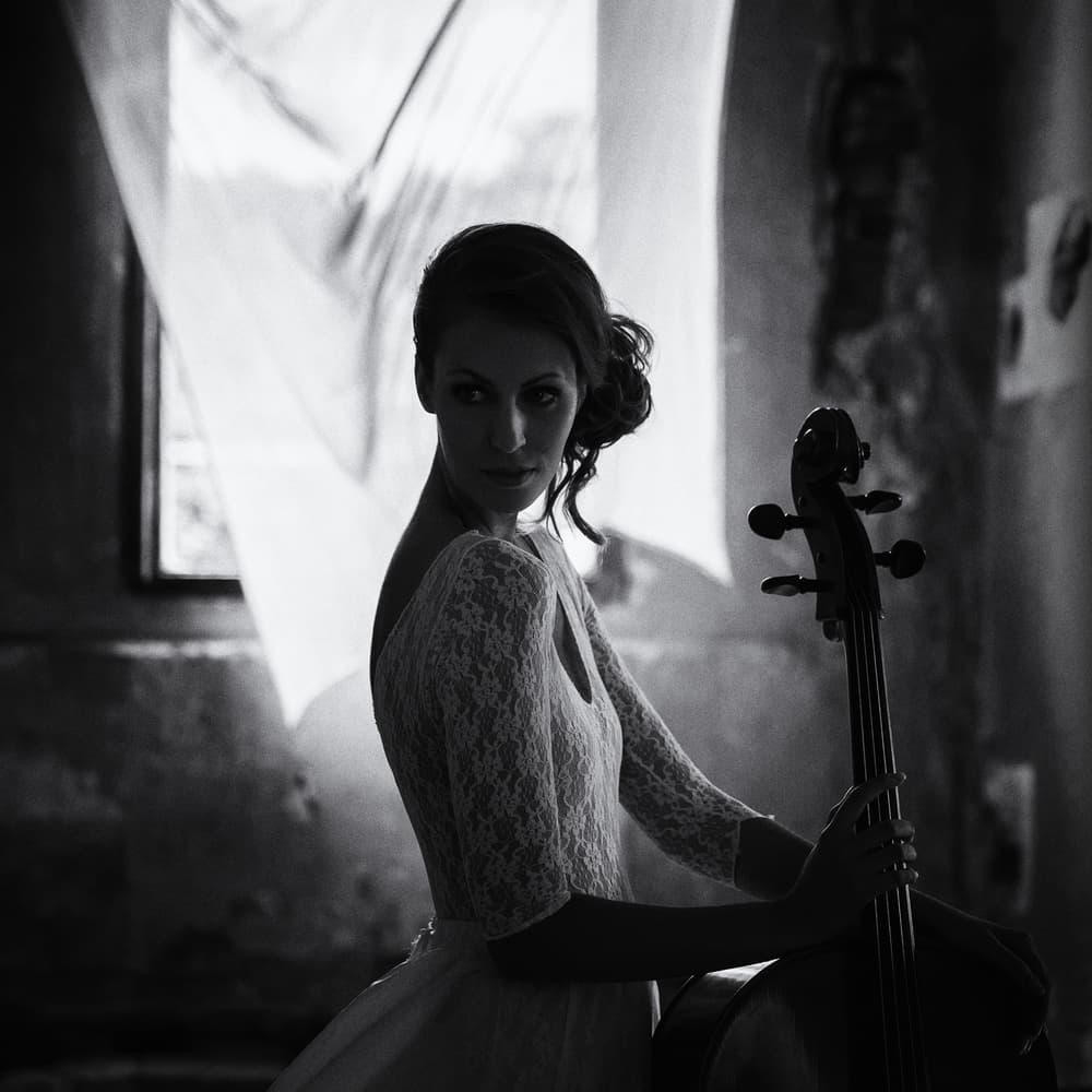 Elegant Cellist Portrait by Roswitha Schleicher-Schwarz — canvas wall art