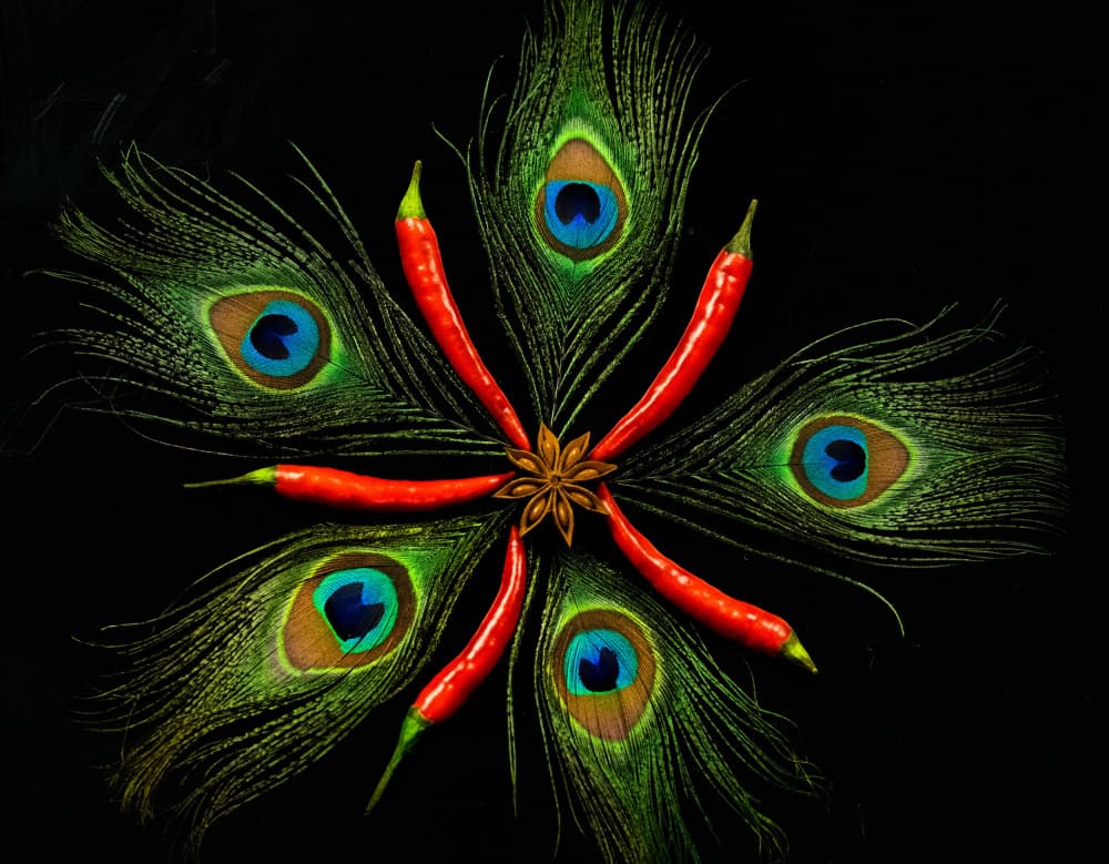 Spicy Peacock Radiance by Danny Mendoza — canvas wall art