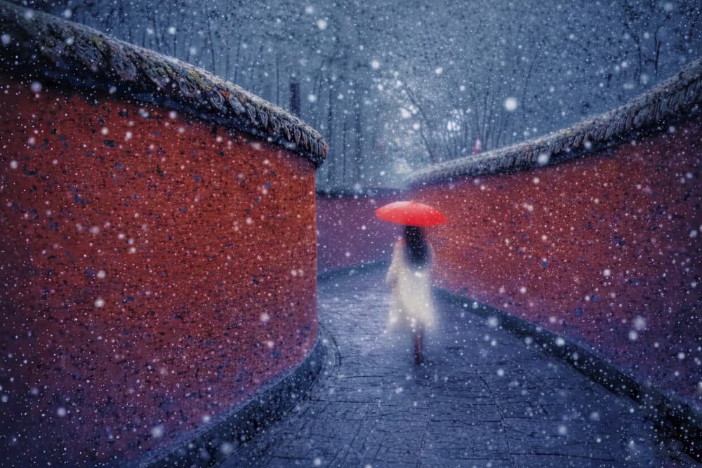 Red Umbrella Winter Path by X-FlyingKN — canvas wall art