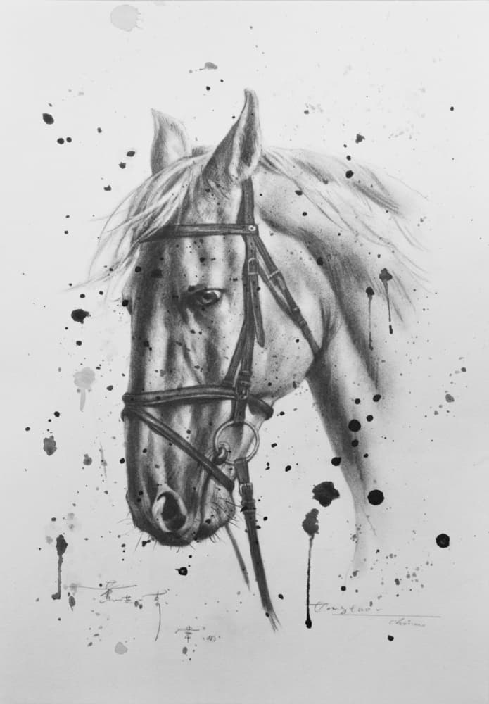 Expressive Horse Portrait by Hongtao Huang — canvas wall art