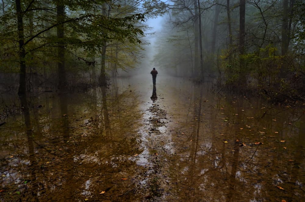 Solitary Walker Misty Path by Srecko Jubic — canvas wall art