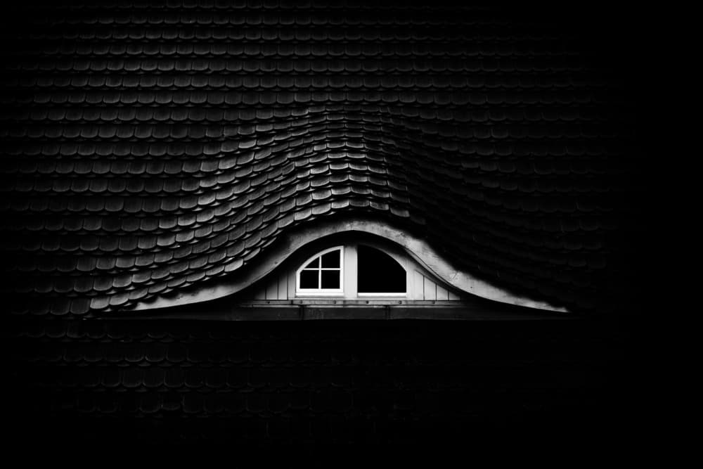Dormer Eye Window by Rolf Endermann — canvas wall art